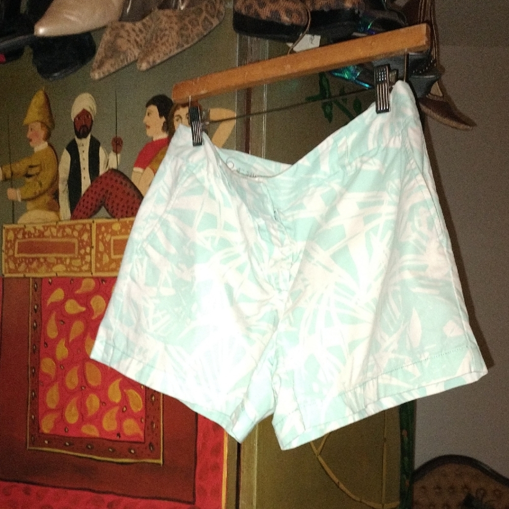 LOFT Light Green Patterned Women's Shorts